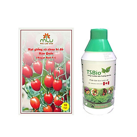 Combo Hạt giống cà chua bi đỏ Hàn Quốc – Sugar Red F1( gói 10 hạt) + Chai Phân bón Trường Sơn Bio Chai 1L