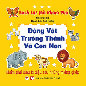 Sách lật mở khám phá - Động vật trưởng thành và con non