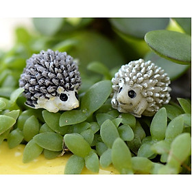 Combo mô hình 02 con nhím trang trí bonsai, tiểu cảnh, nhà búp bê