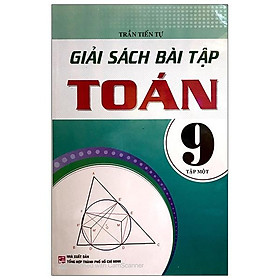 Giải Sách Bài Tập Toán Lớp 9 - Tập 1 (Tái Bản)
