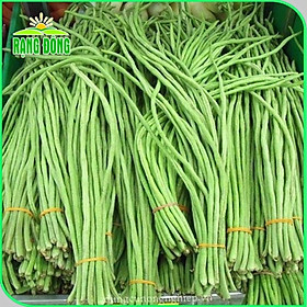 Mua Hạt giống Họ Đậu trồng quanh năm  sinh trưởng khỏe  Rau củ quả trồng chậu - Hạt giống Rạng Đông