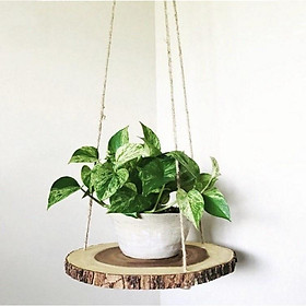 Mua Kệ gỗ treo lớn hình tròn size 20-25cm trang trí phòng khách  ban công phong cách Hàn Quốc  trang trí nhà cửa