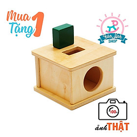 Đồ chơi cho bé 15-18 tháng tuổi - Hộp thả khối chữ nhật - Giáo cụ Montessori 0-3 tại nhà