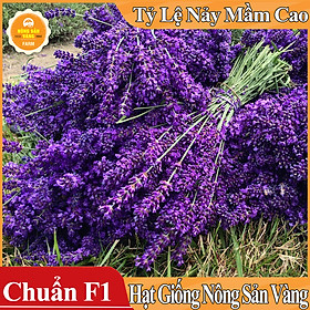 Mua Hạt giống Hoa Oải Hương ( Gói 50 Hạt )