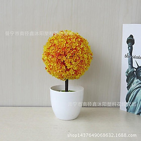 Mua Chậu hoa cẩm tú cầu để bàn  để trang trí kệ treo tường (nhiều màu lựa chọn)