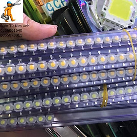 Mua Nhân led 3w