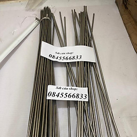 Mua Xiên nướng inox   phi 5 và phi 6