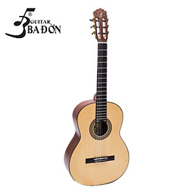 Đàn Guitar Classic Chuyên Nghiệp ( Full solid) C350 Chất Lượng Cao