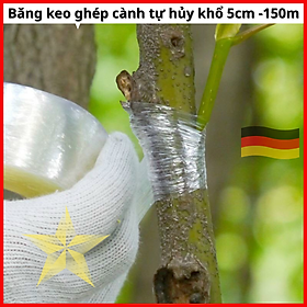 Mua Băng keo ghép cành cây tự dính tự hủy -rộng 5cm dài 150m  HÀNG LOẠI 1