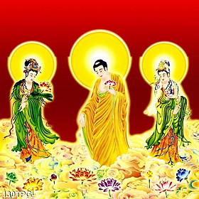 TRANH DÁN TƯỜNG TÂY PHƯƠNG TAM THÁNH - TRANH PHẬT GIÁO