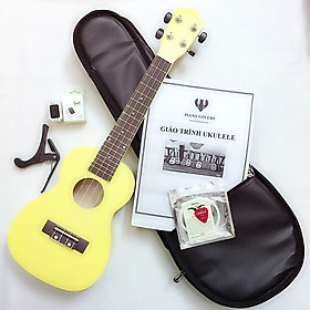  Combo khuyến mãi đặc biệt khi mua đàn Ukulele Concert Woim 33A19 cao cấp - Mua 1 tặng 7