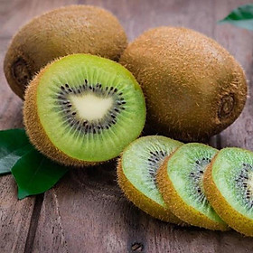 Cây giống kiwi xanh leo giàn -cây giống nhập khẩu