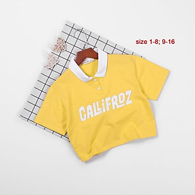 ÁO THUN BG PHỐI CỔ CALIFROR