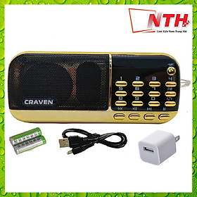 Loa Pháp, Loa Nghe Đài FM, Loa Nghe Nhạc USB, Thẻ Nhớ Craven CR-836S Có Đèn Pin - Hàng Nhập Khẩu