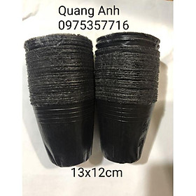 1kg TÚI BẦU ƯƠM CÂY GIỐNG (13 x 12cm)