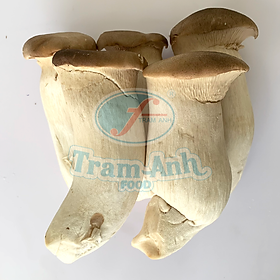 Nấm Đùi Gà Lớn 1kg
