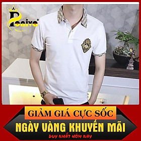 Áo Thun Nam Có Cổ Phối Logo HT0289 Thời Trang