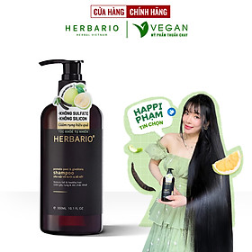 Bản Nâng Cấp - Dầu gội vỏ bưởi & bồ kết 300ml không sulfate không silicon