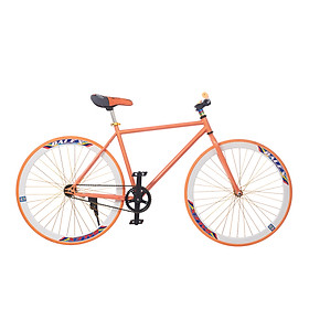 Xe Đạp Fixed Gear Single Sportslink - Cam Phối Trắng