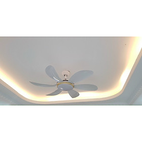 Mua Quạt trần 6 cánh cong  điều khiển từ xa 6 số  lõi đồng 100%  động cơ tiết kiệm điện  quạt rất mát và chạy êm  hàng chính hãng