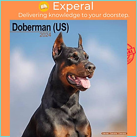 Sách - Doberman (Us) Calendar 2024  Square Dog Breed Wall Calendar - 16 Month by  (UK edition, paperback)