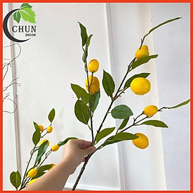 Mua Cành chanh 7 quả  cành chanh Mỹ vàng dài 1m trang trí nhà cửa  cửa hàng  văn phòng  làm dạo cụ chụp ảnh