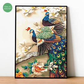 Tranh tô màu theo số - Chim và hoa mùa xuân đã căng khung 40x50cm
