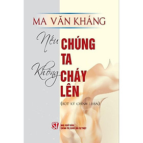 Hình ảnh Sách - Nếu chúng ta không cháy lên