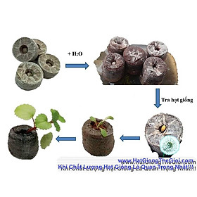 50 Viên Nén Nảy Mầm/ Viên Nén Xơ Dừa (D1.200)