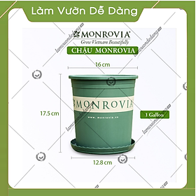 5 Chậu nhựa trồng cây MONROVIA 1 Gl, chậu trồng cây, chậu cây cảnh mini, để bàn, treo ban công, treo tường, cao cấp, chính hãng thương hiệu MONROVIA