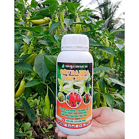 Mua Phân bón SIÊU RA HOA ĐẬU TRÁI 500ML - chuyên cây ớt và rau màu.