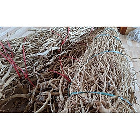 RỄ RỪNG THUỶ SINH - DÙNG GHÉP ĐÁ, LŨA LÀM BỐ CỤC RỪNG RẤT ĐẸP