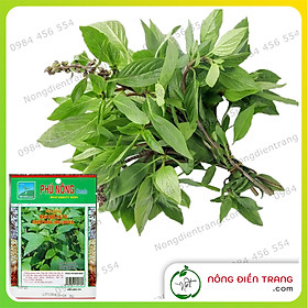 Mua Hạt Giống Rau Quế Lá To Phú Nông (5g/Gói)