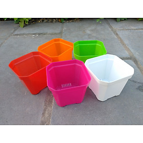 5 Chậu Nhựa Mini KT: 7x6cm, Hình Vuông - Nhiều Màu