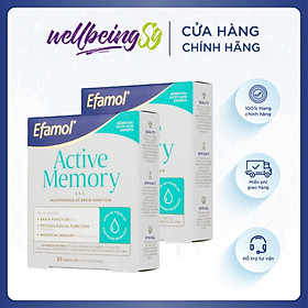 Viên Uống Bổ Sung Efamol Active Memory Hỗ Trợ Trí Nhớ Năng Động, Củng Cố Hiệu Suất Não Và Hệ Thần Kinh (30 Viên Soft Gel/ Hũ)