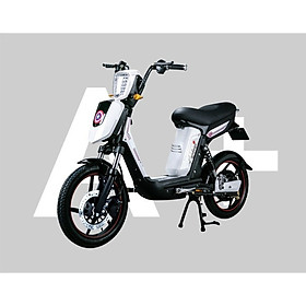 XE ĐẠP ĐIỆN CAP A+