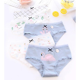 Set 5 quần chip nữ cotton siêu thoáng siêu xinh
