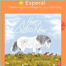 Hình ảnh Sách - A Horse Called Now by Alexandra Finkeldey (UK edition, hardcover)