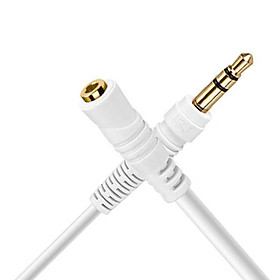 DÂY NỐI TÍN HIỆU 3.5 ĐỰC RA 3.5 CÁI JSJ 6131