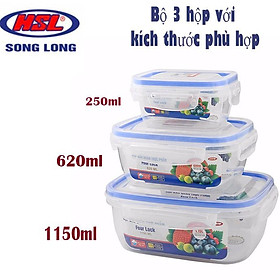 Combo 6 Set 3 hộp trữ đồ đông lạnh - hộp nhựa Song Long (MS: 2508) - br00315