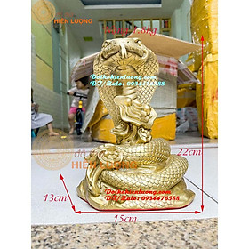 Mua Tượng Rắn Vàng Cuốn Mây Bằng Đồng Thau Nguyên Chất Cao 22cm Đẹp Tinh Xảo