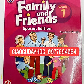 FLASHCARD FAMILY AND FRIENDS 1(special)- cán c300