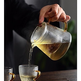 Ấm pha trà lõi lọc thủy tinh cao cấp chịu nhiệt - ANTH460