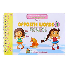 Sách Những Cặp Từ Vựng Trái Nghĩa Và Trò Chơi Ghép Chữ - Opposite Words In Pictures (Tập 1)