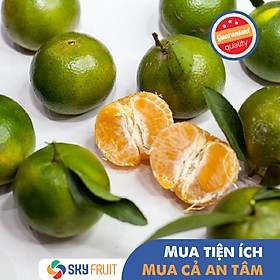 Quýt đường Lai Vung SKY FRUIT 1kg