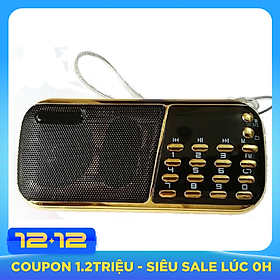 Máy nghe nhạc thẻ nhớ. USB, đài FM CR-853