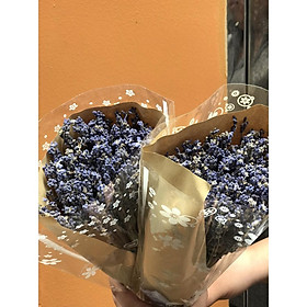 Mua Hoa Oải Hương KhôLavenderTrang trí phòng ngủ  cắm lọ thủy tinh siêu xinh