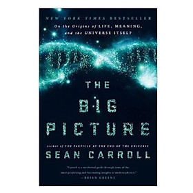 The Big Picture  On the Origins of Life Meaning