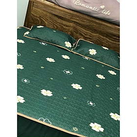 Mua Chiếu Điều Hòa Hoa Văn 3D Chun Ôm Đệm Mẫu Mới Nhất PP3051