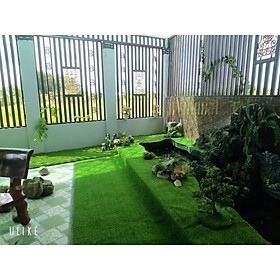 Combo 20 m2 thảm cỏ sân vườn sợi nhựa 2 cm